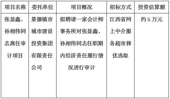 張顯鑫、孫相偉同志離任審計項目計劃公告