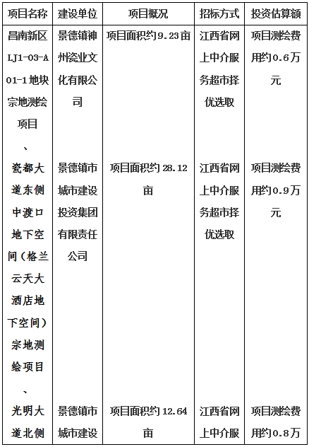 景德鎮(zhèn)市昌南新區(qū)LJ1-03-A01-1地塊、瓷都大道東側中渡口地下空間（格蘭云天大酒店地下空間）、光明大道北側利民路西側地下空間（青少年宮地下空間）、規(guī)劃二路北側地下空間地塊二（加速基地地下空間）、規(guī)劃二路北側地下空間地塊一（加速基地地下空間）、景德大道南側天寶橋西側地塊、景興大道東側如意路北側地下空間(社會公共服務