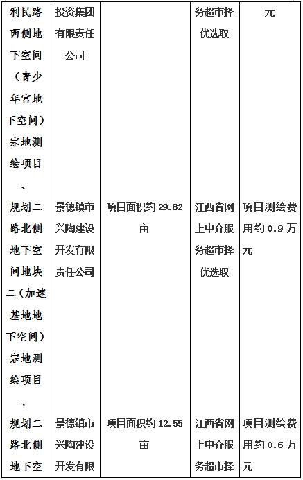 景德鎮(zhèn)市昌南新區(qū)LJ1-03-A01-1地塊、瓷都大道東側中渡口地下空間（格蘭云天大酒店地下空間）、光明大道北側利民路西側地下空間（青少年宮地下空間）、規(guī)劃二路北側地下空間地塊二（加速基地地下空間）、規(guī)劃二路北側地下空間地塊一（加速基地地下空間）、景德大道南側天寶橋西側地塊、景興大道東側如意路北側地下空間(社會公共服務