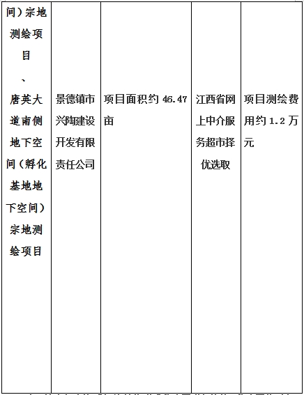 景德鎮(zhèn)市昌南新區(qū)LJ1-03-A01-1地塊、瓷都大道東側中渡口地下空間（格蘭云天大酒店地下空間）、光明大道北側利民路西側地下空間（青少年宮地下空間）、規(guī)劃二路北側地下空間地塊二（加速基地地下空間）、規(guī)劃二路北側地下空間地塊一（加速基地地下空間）、景德大道南側天寶橋西側地塊、景興大道東側如意路北側地下空間(社會公共服務